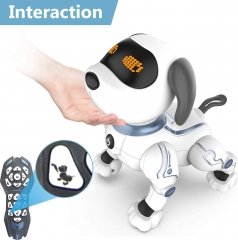 ROBOT DOG