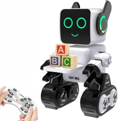 REMOTE CONTROL ROBOT